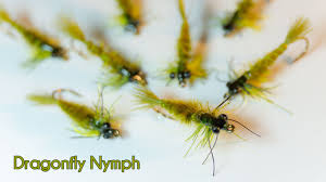 Maybe you would like to learn more about one of these? Dragonfly Nymph Global Flyfisher