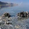 Dead sea salt mud soap 3 pk, dead sea salt, shea butter, argan oil, magnesium, sulfur, mineral soap. 1