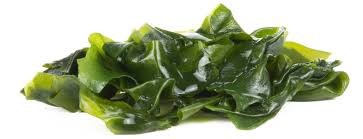 Image result for Kelp Green 2007 S-Max