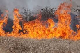 Une quarantaine de personnes ont trouvé refugé à la salle des fêtes de caromb suite au. Incendie A Menerbes Dans Le Vaucluse