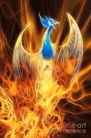 Phoenix with a thousand eyes. The Phoenix Rises From The Ashes Digital Art By John Edwards
