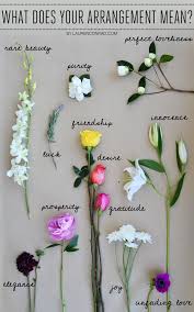 Explore The Secret Language Of Flowers Flower Meanings Flower Arrangements Language Of Flowers