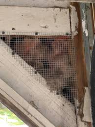 Pest exclusion is the ultimate pest control prevention click the roach above to start taking exclusionary steps! Pest Exclusion Services In Massachusetts Rhode Island
