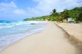 Plan your next trip here. These Are The Best Beaches Near Jamaica Usa Today 10best