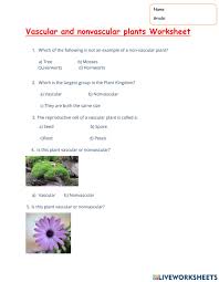 We did not find results for: Vascular And Non Vascular Plants Worksheet