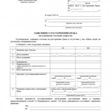 Zayavlenie O Rastorzhenii Braka Obrazec Blank Forma 2020