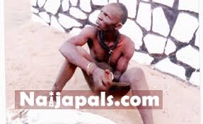 I sold human parts to churches and ritual killers – Joshua - Gistmania