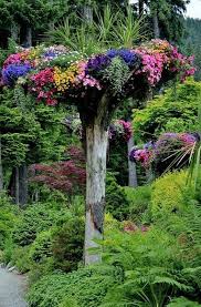 60 Beeindruckende Stumpery Gartendekorationen Kreative Und Naturliche Landschaftsgestaltungs In 2020 Baumstamm Garten Garten Bepflanzung