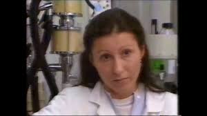 Brixi Schmid-Siegel, Dr.