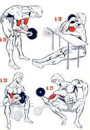 Biceps4 Exercice Biceps Musculation Musculation Biceps