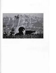 A Theorised Histoiy of Skateboarding