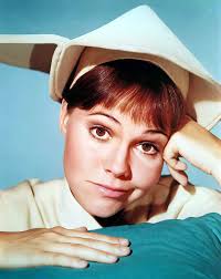 Sally Field's starring role in The Flying Nun TV show got the actress in a  wild habit (1960s)