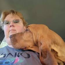 Tom Hanks' only daughter, E.A. Hanks, shares rare insight into her  childhood in her new memoir. https://enews.visitlink.me/QCBKxy