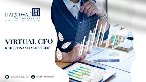 Virtual Cfo Chief Financial Officer In The Usa Harshwal Company Llp In 2020 Chief Financial Officer Cfo Financial