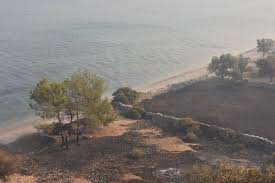 Muğla'nın milas ilçesine bağlı çökertme mevkiindeki yangın da yayılmaya devam ediyor. Sehtsj3jpbi6om