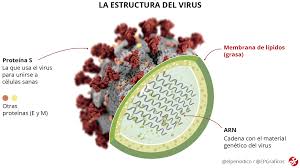 Una preocupación comúnmente expresada se centra en. Cuatro Caminos Llenos De Obstaculos Hacia La Vacuna Contra La Covid 19