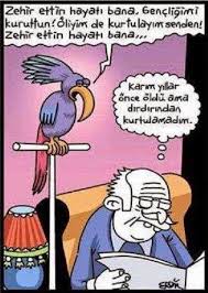 Erdil Yaşaroğlu ile ilgili görsel sonucu