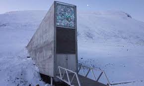 Tired of seed bank reviews written by clueless authors? 15 Crops Secured In The Svalbard Global Seed Vault Food Tank