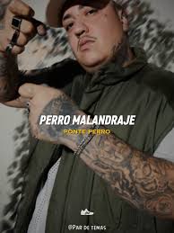 Chomba Audio Whatsapp