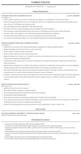 Project Manager Business Analyst Resume Sample Mintresume