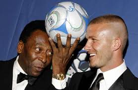 Taking the Windsor Dog Pound by Storm