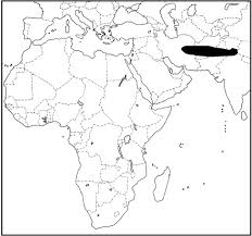 Image result for Argyrolobium rupestre