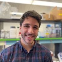 1400+ "Liad Or" profiles