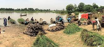 Niger River - Wikipedia