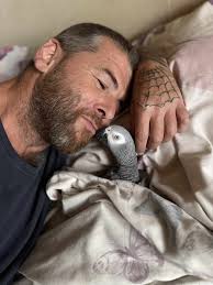 Introducing adopted african grey parrot buddy