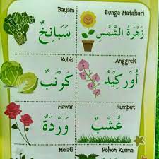 Setiap huruf berbeda bentuk apabila ditulis di awal kata, tengah, maupun di akhir kata. Paling Populer 26 Bunga Mawar Dalam Bahasa Arab Gambar Bunga Indah