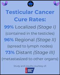 Cancer are a few we know there's a small. Visiting A Urologist To Check Out My Testicles A Ballsy Sense Of Tumor