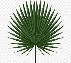 Gograph allows you to download affordable illustrations and eps vector clip art. Hoja Arecaceae Rama De Palma Imagen Png Imagen Transparente Descarga Gratuita