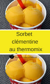 Sorbet Clementine Au Thermomix Recettes De Cuisine Thermomix Recette Nourriture Delicieuse
