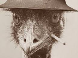 Remember The Time Australia Declared War On Emus And Lost 13 Photos Emu War Emu Dumb Photos