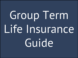 Check out insure's best life insurance companies. The Complete Guide To Group Term Life Insurance Glg America