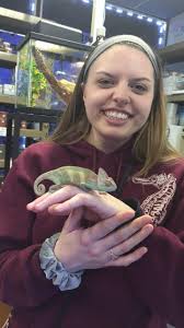 Their eyes have the ability to move independently from one another and they can change the color of their skin. Just Bought A Chameleon Any Tips For A Beginner Reptile Mom Reptiles