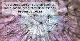 Quotable quotes wisdom quotes quotes to live by me quotes motivational quotes inspirational quotes positive quotes happy quotes the words. 10 Bible Verses About Gossip Dailyverses Net