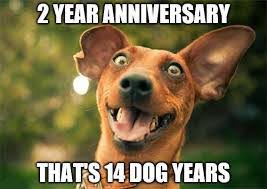 Looking for some cool anniversaries memes? Wedding Anniversary Meme For Wife Husband And Loved Ones