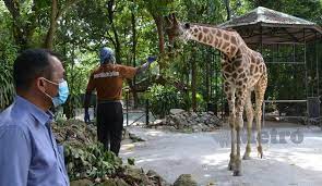 Melaka zoo and night safari (en); Zoo Melaka Peroleh Rm8 8j Tahun Lalu