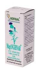 Adjuvant in tratamentul urmatoarelor afectiuni: Prospect Medicament Bilichol Capsule Gelatinoase