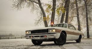 Image result for Live Oak 1967 AC Cars