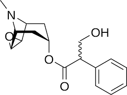 Image result for Scopolamine