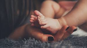 Non toxic rugs will use natural fibers such as sisal, jute, seagrass or coir. Guidelines For Choosing Nontoxic Nursery Rugs Nontoxic Living