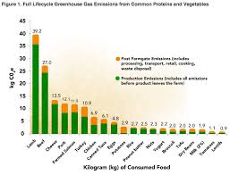 Study Going Vegetarian Can Cut Your Food Carbon Footprint