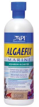 Don'T Use Api Algaefix - Youtube
