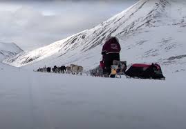 Check spelling or type a new query. 100 Adventure Films To Stream For Free Part Iv Explorersweb