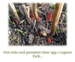 Image result for site:byggahus.se stammar