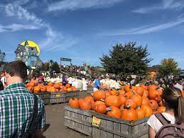 Fall Fun With Pumpkins And Apple Cidar Review Of Linvilla Orchards Media Pa Tripadvisor