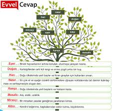 Akilli Kiz Dinleme Metni Etkinlik Cevaplari 7 Sinif Turkce