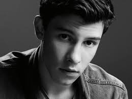 Você É Realmente Fã Do Shawn Mendes?